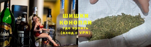 спиды Заводоуковск