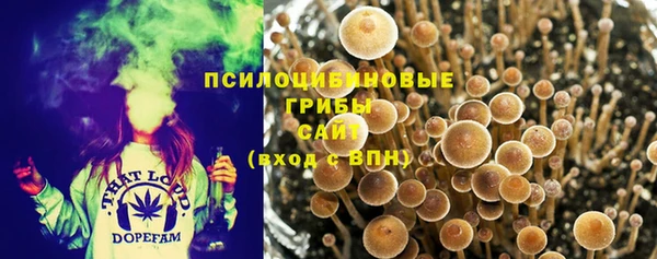 спиды Заводоуковск