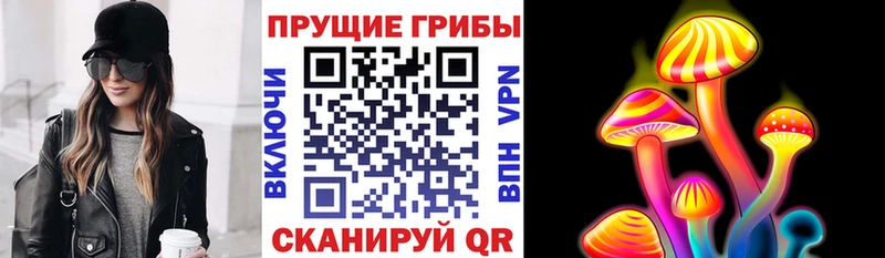 продажа наркотиков  Инта  нарко площадка состав  Галлюциногенные грибы MAGIC MUSHROOMS 
